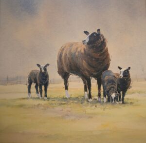 Zwartbles