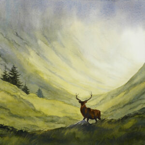 Spring Stag